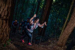 BIB: 
                            <button type="button" onclick="openModal(19213068)" class="btn btn-primary btn-sm float-right btn-popup" data-toggle="modal" data-target=".modal-high-quality">
                        <i class="fas fa-shopping-cart"></i> Add to Cart
                    </button>
                                            <button type="button" onclick="isThisMe(19213068, true)" class="btn btn-success btn-sm float-right btn-popup btn-isme hidden" data-toggle="tooltip" data-placement="bottom" title="นี่คือรูปของคุณใช่ไหม คลิกที่นี่เพื่อเอาเข้าอัลบั้ม">
                        <i class="fas fa-plus"></i> Add to album
                    </button>
                    <button type="button" onclick="isThisMe(19213068, false)" class="btn btn-warning btn-sm float-right btn-popup btn-isnotme hidden">
                        <i class="fas fa-ban"></i> Remove from album
                    </button>